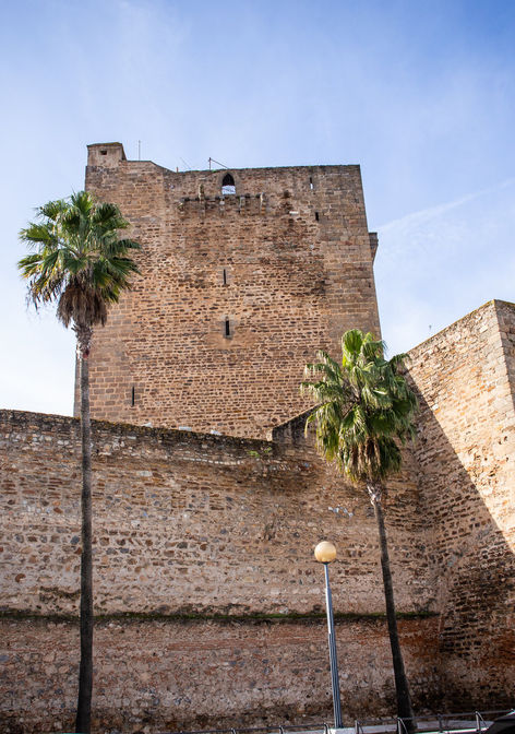 Alcázar and Torre del Homenaje